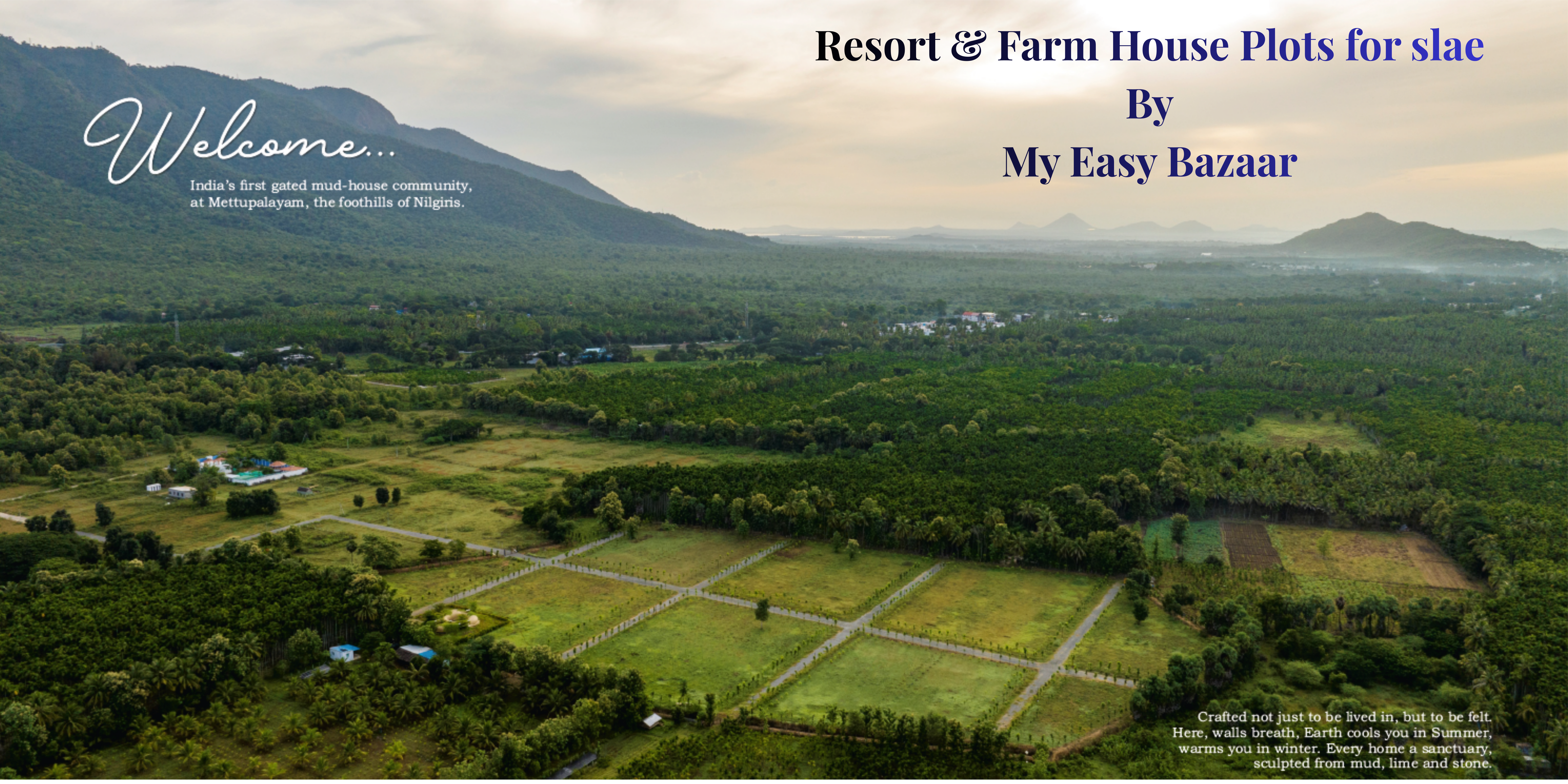 Advertisement Banner